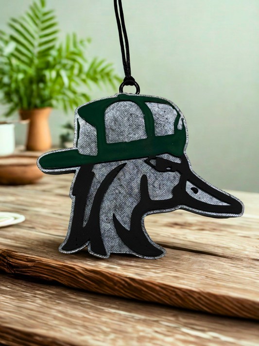 Backwards & Quackin’